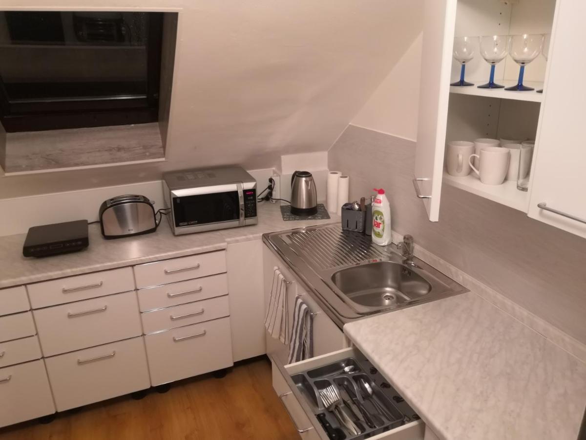 Penzion Ubytovani U Parku S Parkovistem Česká Lípa エクステリア 写真